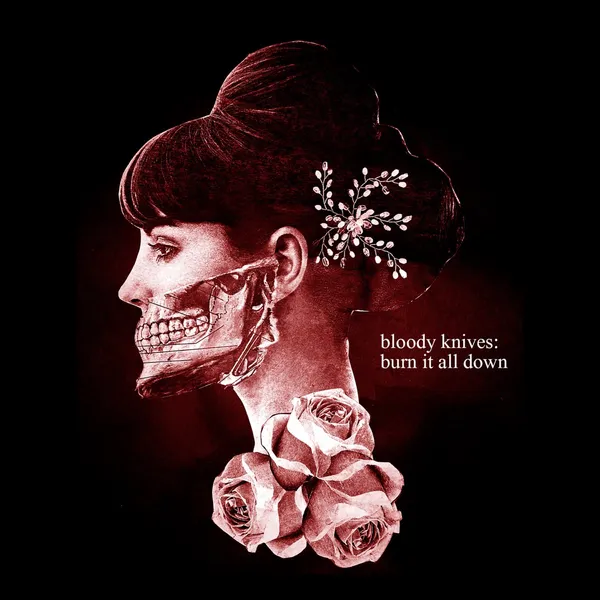 Burn It All Down cover
